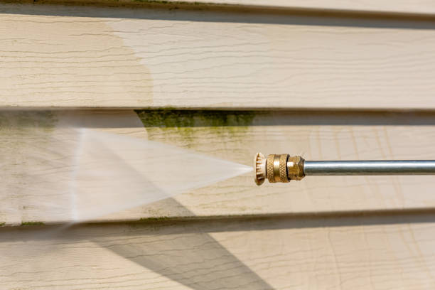 Best Deck Cleaning Services  in Reinholds, PA